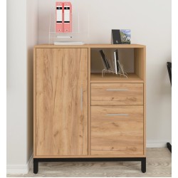Тумба офісна L-800 combi Loft Design Дуб Крафт Золотой Тумба офісна L-800 combi Loft Design Дуб Крафт Золотой