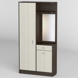 Пряма шафа в передпокій із дзеркалом відділенням для курточок взуття висувною шухлядою для дрібниць Передпокою 7 Тіса Меблі
