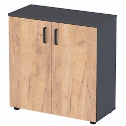 Офісна двостулкова тумба дводверна NT2-80-2D Дуб Крафт Золотий Антрацит Loft Design