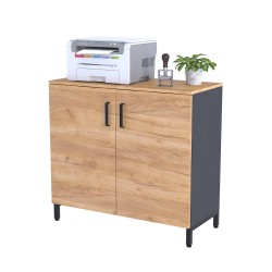 Тумба офісна двошарова LT-900-830 каркас антрацит Loft Design Дуб Крафт Золотий Тумба офісна двошарова LT-900-830 каркас антрацит Loft Design Дуб Крафт Золотий
