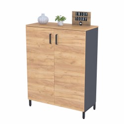 Тумба офісна двостулкова дводверна LT-900-1200 каркас антрацит Loft Design Дуб Крафт Золотий Тумба офісна двостулкова дводверна LT-900-1200 каркас антрацит Loft Design Дуб Крафт Золотий